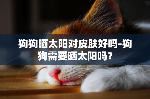 狗狗曬太陽對皮膚好嗎-狗狗需要曬太陽嗎？