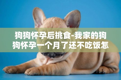 狗狗懷孕后挑食-我家的狗狗懷孕一個月了還不吃飯怎么辦