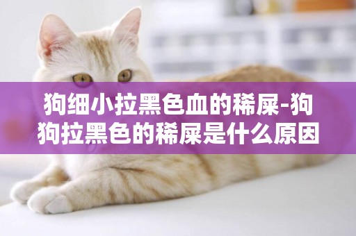 狗細小拉黑色血的稀屎-狗狗拉黑色的稀屎是什么原因？