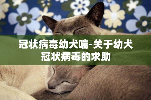 冠狀病毒幼犬喘-關于幼犬冠狀病毒的求助