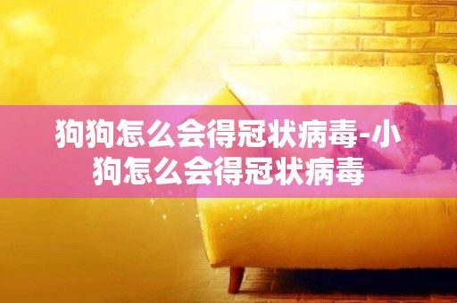 狗狗怎么會得冠狀病毒-小狗怎么會得冠狀病毒
