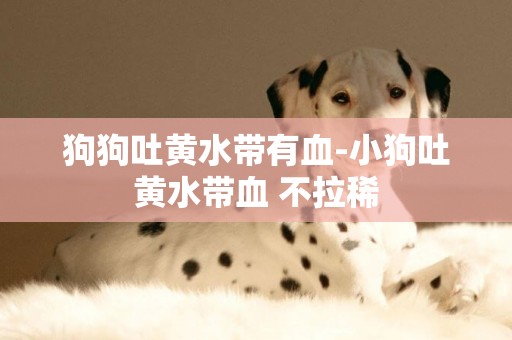 狗狗吐黃水帶有血-小狗吐黃水帶血 不拉稀