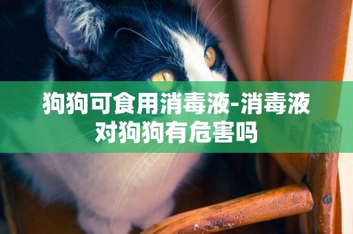 狗狗可食用消毒液-消毒液對狗狗有危害嗎