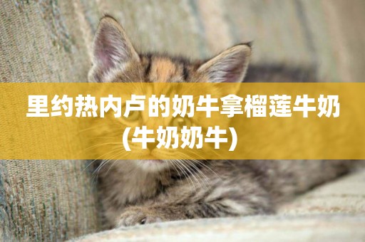 里約熱內盧的奶牛拿榴蓮牛奶(牛奶奶牛) 