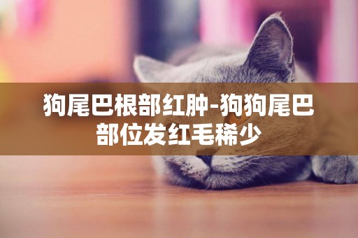狗尾巴根部紅腫-狗狗尾巴部位發紅毛稀少