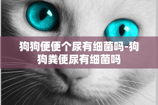 狗狗便便個尿有細菌嗎-狗狗糞便尿有細菌嗎