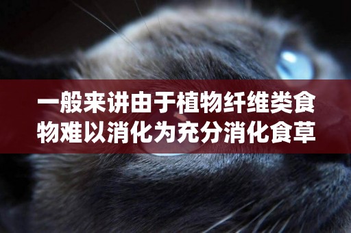 一般來講由于植物纖維類食物難以消化為充分消化食草動物(食草動物的眼睛長在側扁頭顱的前方還是兩側) 