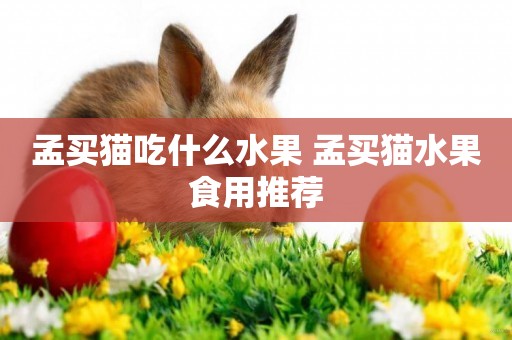 孟買貓吃什么水果 孟買貓水果食用推薦