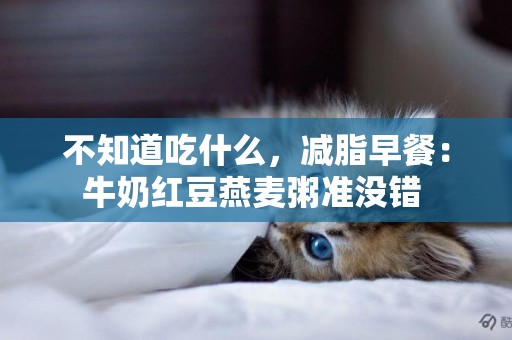 不知道吃什么，減脂早餐：牛奶紅豆燕麥粥準沒錯 