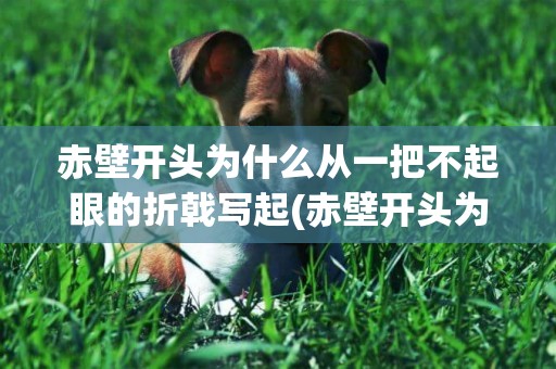 赤壁開頭為什么從一把不起眼的折戟寫起(赤壁開頭為什么從一把不起眼的折戟寫起這樣寫有何作用) 