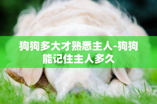 狗狗多大才熟悉主人-狗狗能記住主人多久