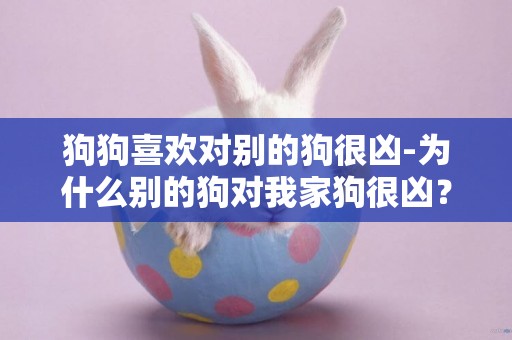 狗狗喜歡對別的狗很兇-為什么別的狗對我家狗很兇？