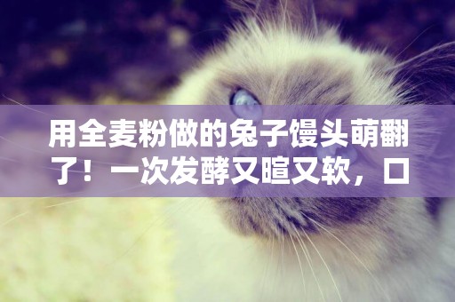 用全麥粉做的兔子饅頭萌翻了！一次發酵又暄又軟，口感都覺細膩了 
