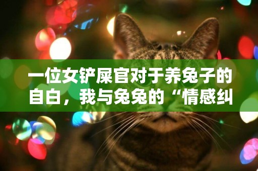 一位女鏟屎官對于養兔子的自白，我與兔兔的“情感糾紛” 