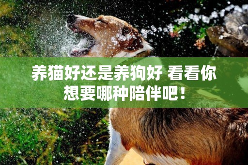 養貓好還是養狗好 看看你想要哪種陪伴吧！