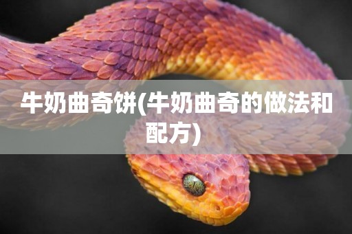 牛奶曲奇餅(牛奶曲奇的做法和配方) 