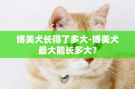 博美犬長得了多大-博美犬最大能長多大？