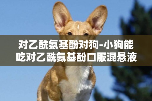 對乙酰氨基酚對狗-小狗能吃對乙酰氨基酚口服混懸液嗎