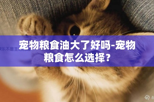 寵物糧食油大了好嗎-寵物糧食怎么選擇？
