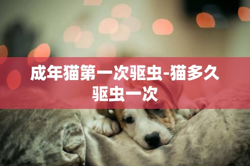 成年貓第一次驅蟲-貓多久驅蟲一次