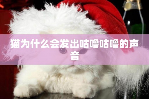 貓為什么會發出咕嚕咕嚕的聲音