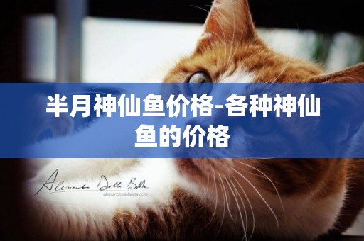 半月神仙魚價格-各種神仙魚的價格