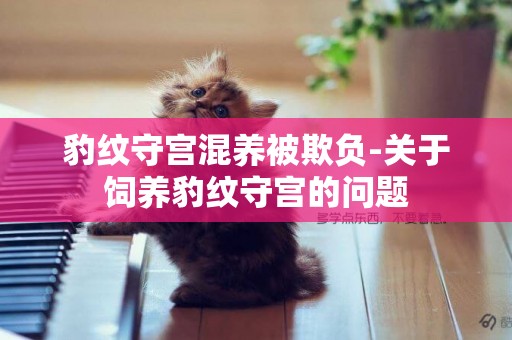 豹紋守宮混養被欺負-關于飼養豹紋守宮的問題