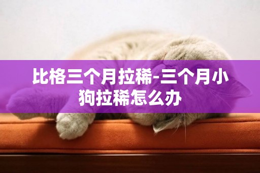 比格三個月拉稀-三個月小狗拉稀怎么辦