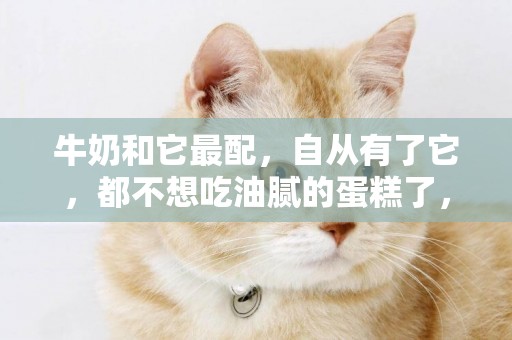 牛奶和它最配，自從有了它，都不想吃油膩的蛋糕了，真簡單 