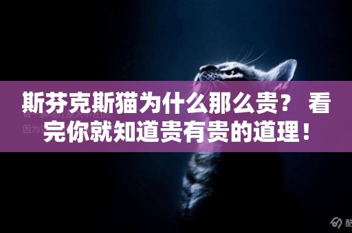 斯芬克斯貓為什么那么貴？ 看完你就知道貴有貴的道理！