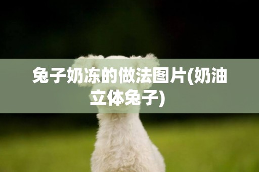 兔子奶凍的做法圖片(奶油立體兔子) 