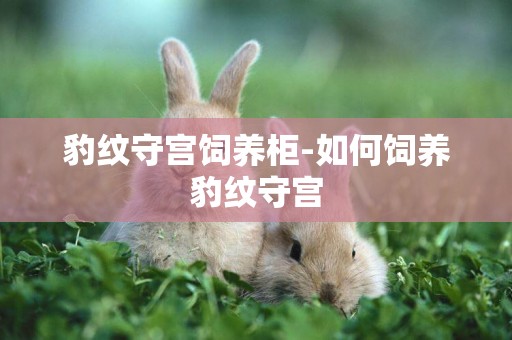 豹紋守宮飼養柜-如何飼養豹紋守宮