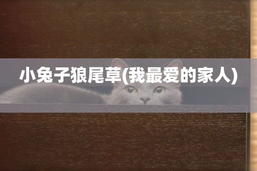 小兔子狼尾草(我最愛的家人) 