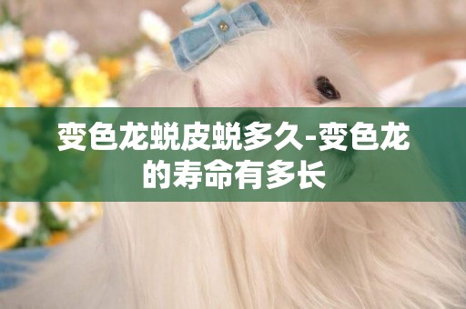 變色龍蛻皮蛻多久-變色龍的壽命有多長