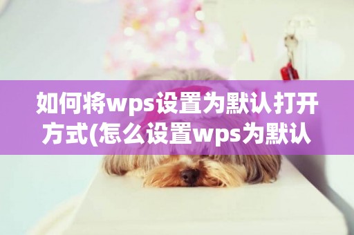 如何將wps設置為默認打開方式(怎么設置wps為默認打開方式) 