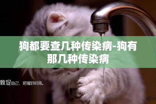 狗都要查幾種傳染病-狗有那幾種傳染病