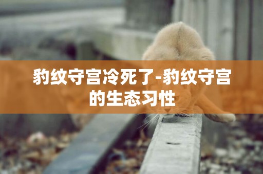豹紋守宮冷死了-豹紋守宮的生態習性