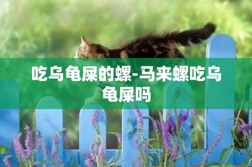 吃烏龜屎的螺-馬來螺吃烏龜屎嗎