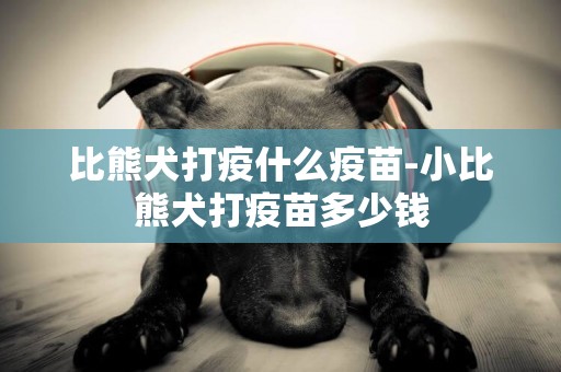 比熊犬打疫什么疫苗-小比熊犬打疫苗多少錢