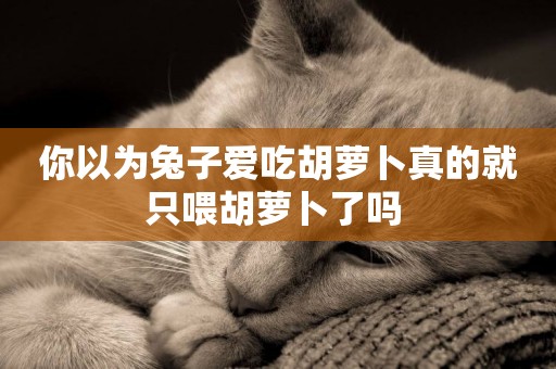 你以為兔子愛吃胡蘿卜真的就只喂胡蘿卜了嗎 
