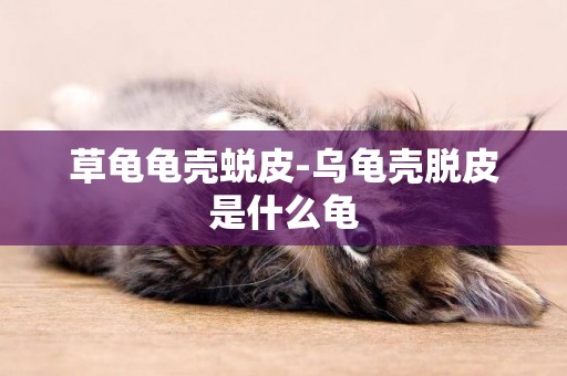 草龜龜殼蛻皮-烏龜殼脫皮是什么龜