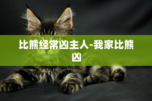 比熊經常兇主人-我家比熊兇