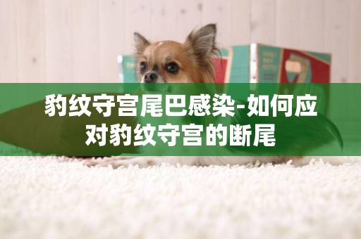 豹紋守宮尾巴感染-如何應對豹紋守宮的斷尾