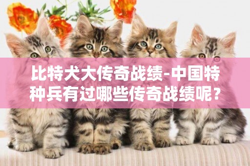 比特犬大傳奇戰績-中國特種兵有過哪些傳奇戰績呢？