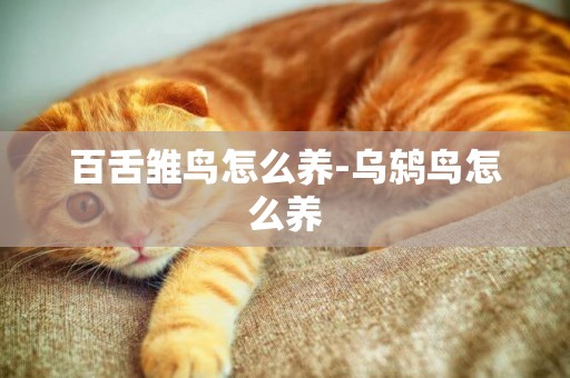 百舌雛鳥怎么養-烏鶇鳥怎么養