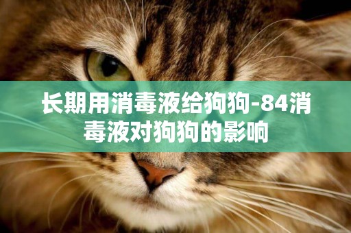長期用消毒液給狗狗-84消毒液對狗狗的影響