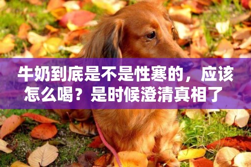 牛奶到底是不是性寒的，應該怎么喝？是時候澄清真相了 