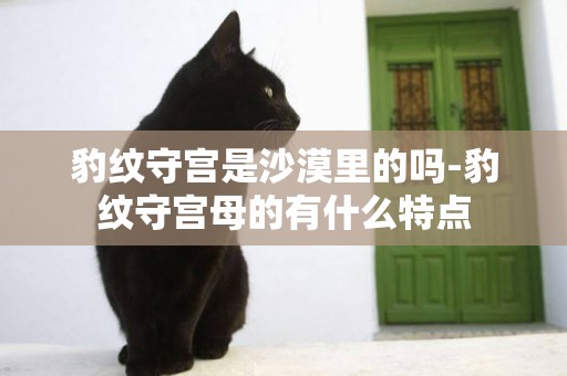 豹紋守宮是沙漠里的嗎-豹紋守宮母的有什么特點
