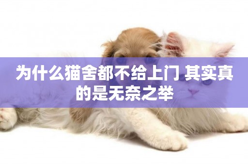 為什么貓舍都不給上門 其實真的是無奈之舉