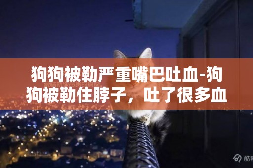 狗狗被勒嚴重嘴巴吐血-狗狗被勒住脖子，吐了很多血，求靠譜的來！謝謝！